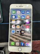 IMG_0908.jpeg