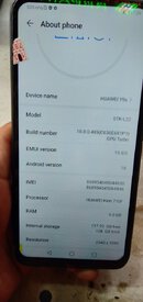 IMG20230307165053.jpg IMG20230307165053.jpg