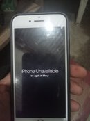 IMG20231104195826.jpg