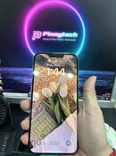 IMG_1418.jpeg
