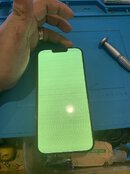 IMG_3353.jpeg