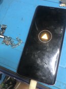 IMG_3631.jpeg