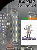 iPad_Mini_5_Connector_2_Edited.jpg