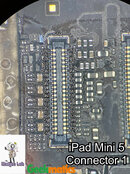 iPad_mini_5_Connector_1_Edited.jpg