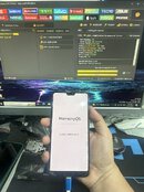 IMG_1794.jpeg