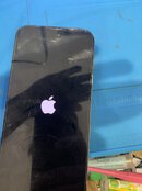 IMG_3426.jpeg