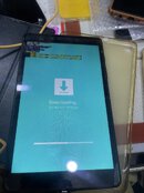 IMG_1980.jpeg