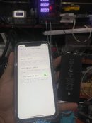 IMG_0507.jpeg