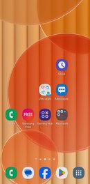 Screenshot_20240326-122401_One UI Home.jpg