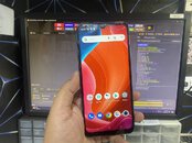 433450867_798658148834816_2458888742001149408_n (2).jpg