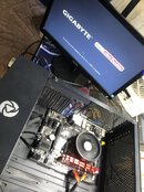 IMG_2041.jpeg