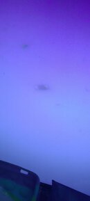 IMG_20240401_144850_354.jpg