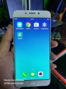 442017275_1100125777745941_1873754401539339380_n.jpg 442017275_1100125777745941_1873754401539339380_n.jpg