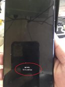 449468821_7834667079888019_6376454915832247411_n.jpg