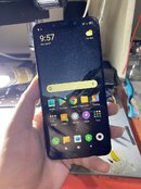 IMG_7331.jpeg IMG_7331.jpeg