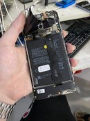 IMG_7316.jpeg IMG_7316.jpeg