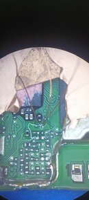 IMG20240817153016.jpg