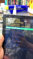 462554254_271869349354843_7337488779870967751_n.jpg 462554254_271869349354843_7337488779870967751_n.jpg