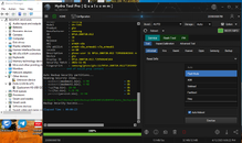 t295 boot info11.png