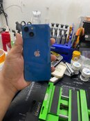 IMG_7631.jpeg