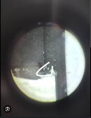 Screenshot_20251119_122419_Chrome.jpg Screenshot_20251119_122419_Chrome.jpg