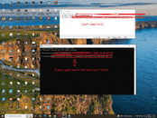 Screenshot 2026-02-14 113632.gif