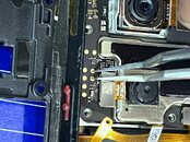 IMG_7073.jpeg