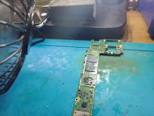IMG_20220703_170252.jpg