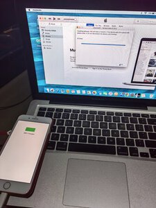 IMG_20220717_212141.jpg