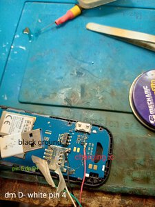 IMG_20220720_134633.jpg