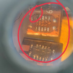 IMG_20220720_090413.jpg IMG_20220720_090413.jpg