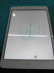 IMG_20220801_154746.jpg